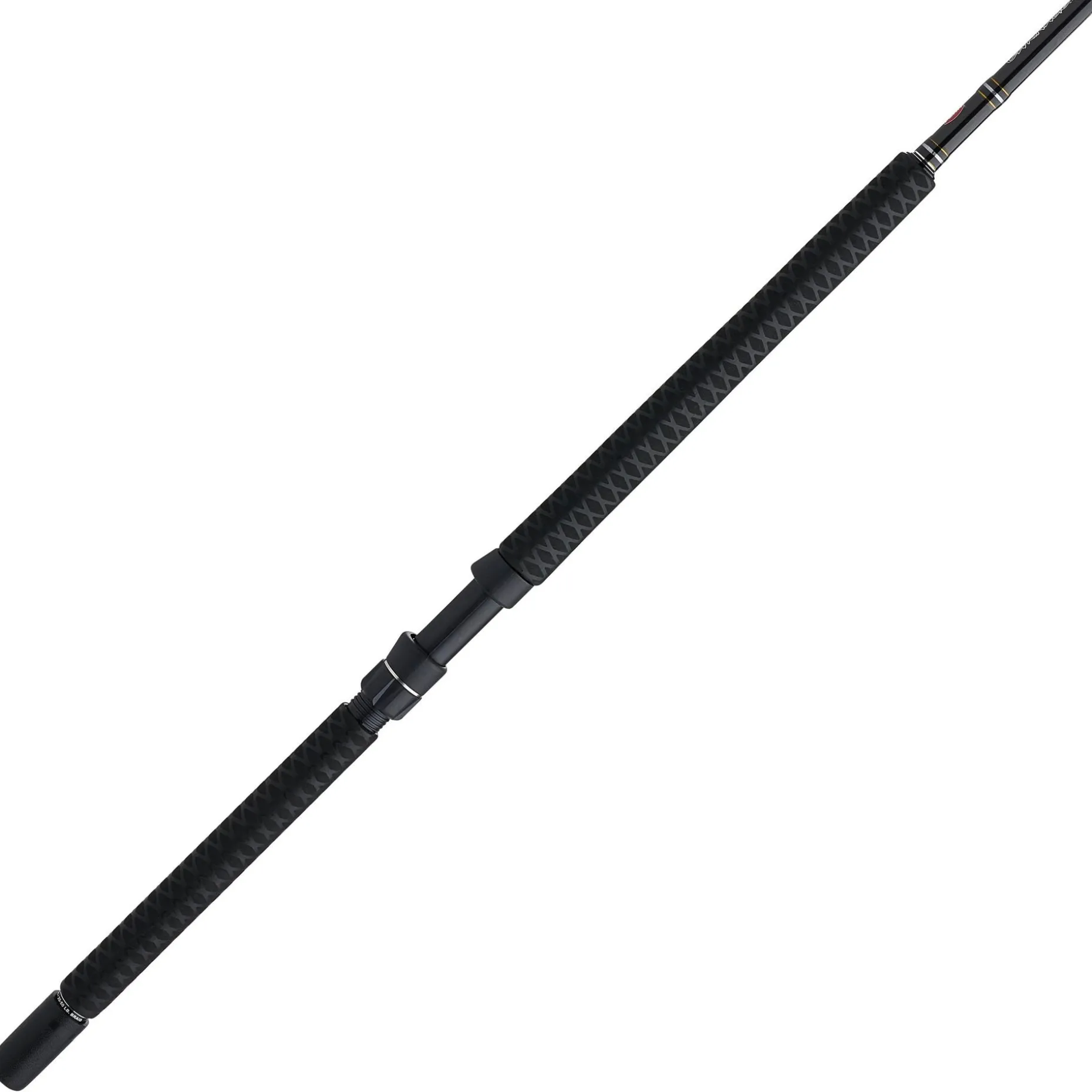 PENN Carnage™ III Offshore Conventional