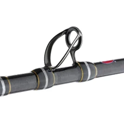 PENN Carnage™ III Offshore Conventional