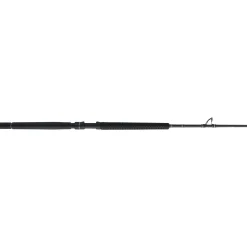 PENN Carnage™ III Offshore Conventional