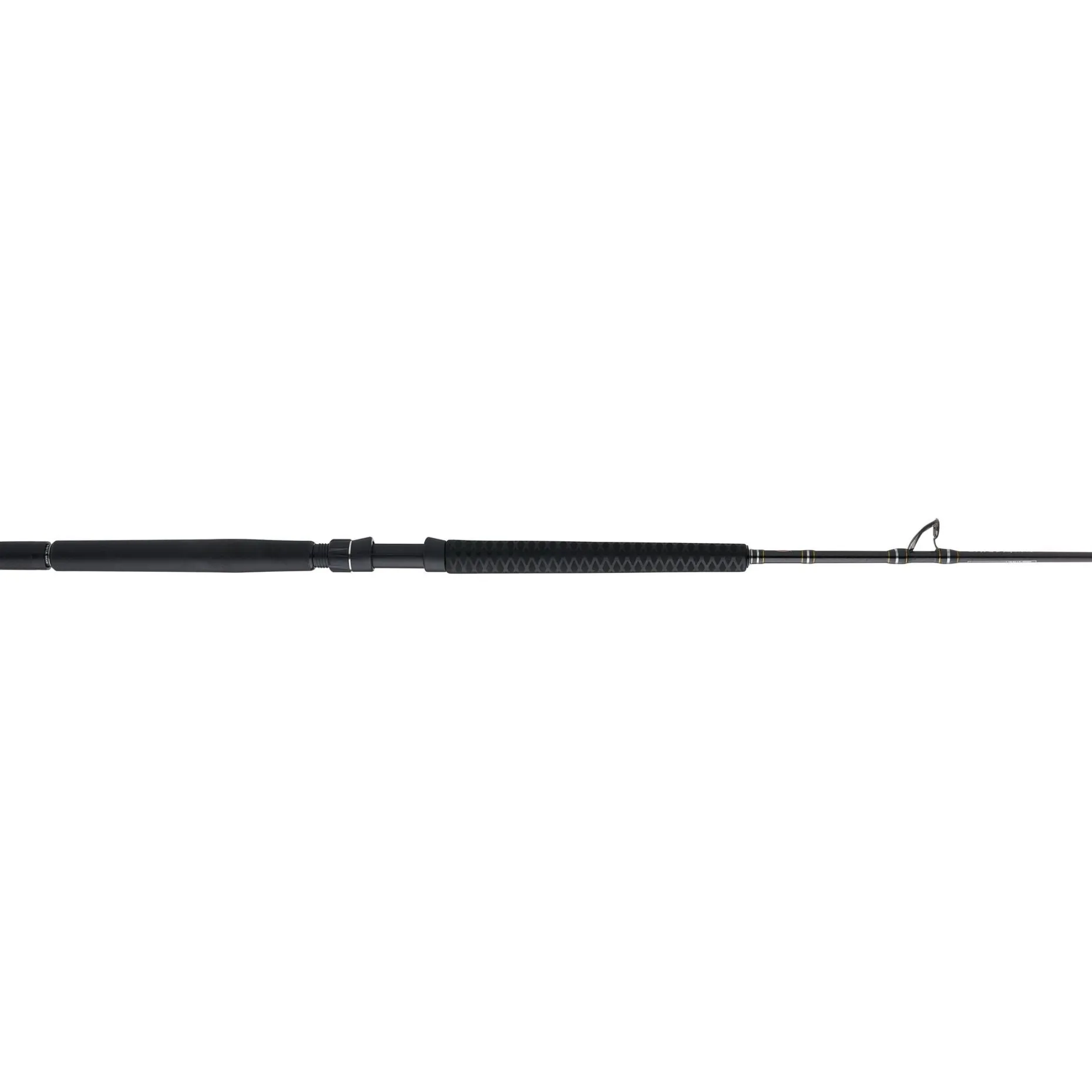 PENN Carnage™ III Offshore Conventional