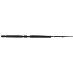 PENN Carnage™ III Offshore Conventional