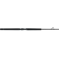 PENN Carnage™ III Offshore Conventional
