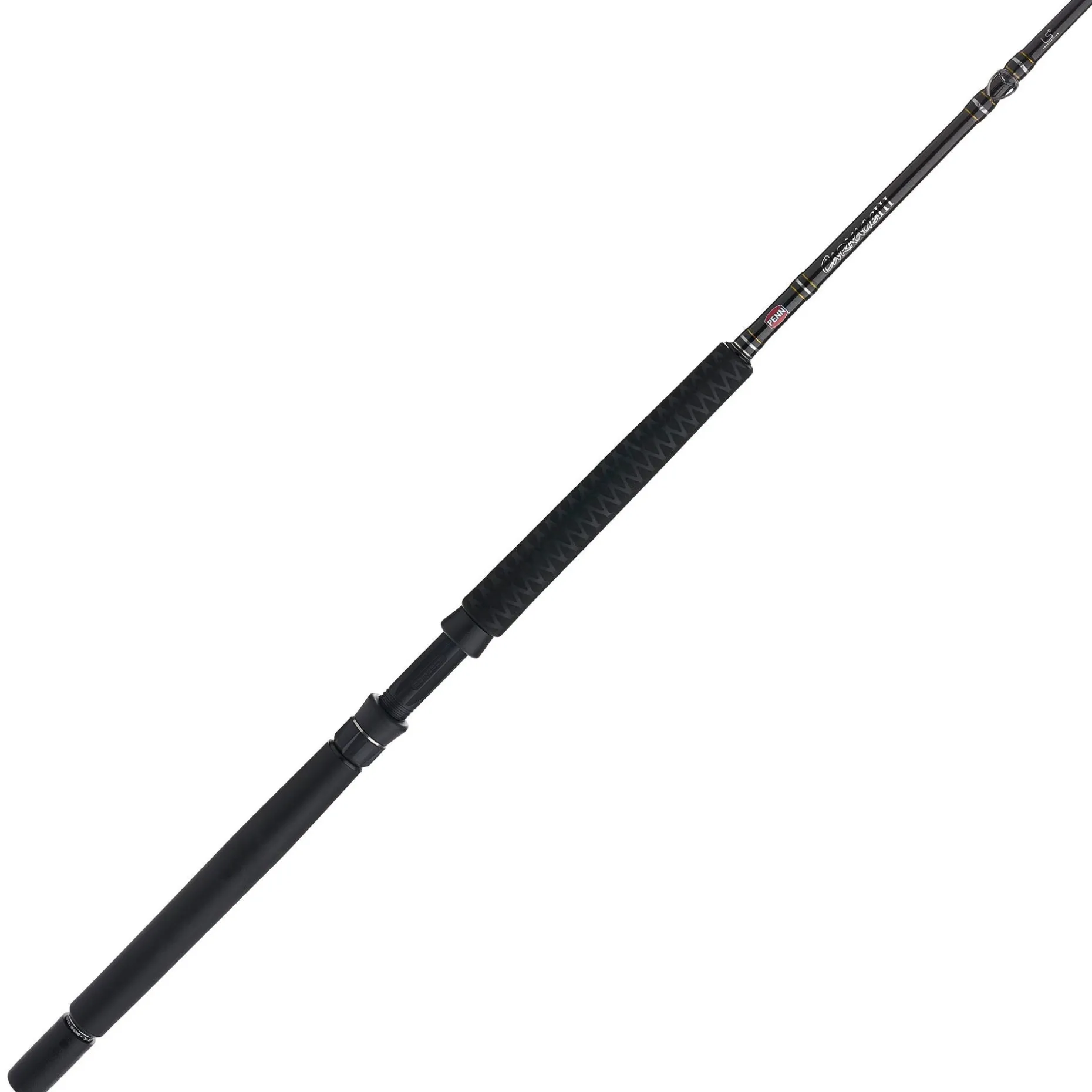 PENN Carnage™ III Offshore Conventional