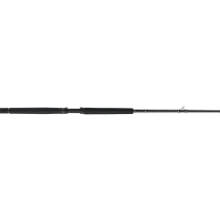 PENN Carnage™ III Offshore Conventional