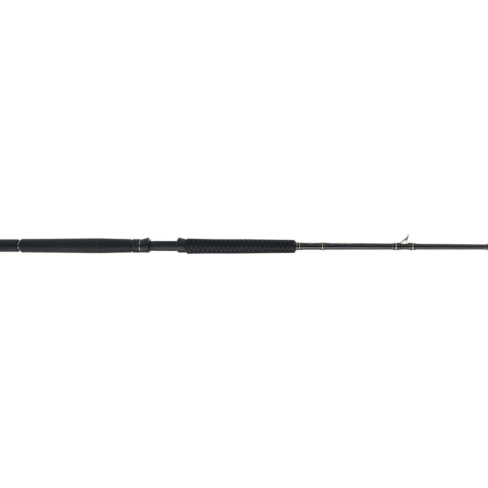 PENN Carnage™ III Offshore Conventional