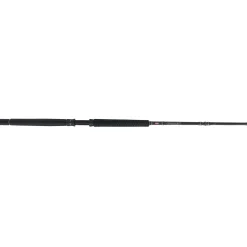 PENN Carnage™ III Offshore Conventional