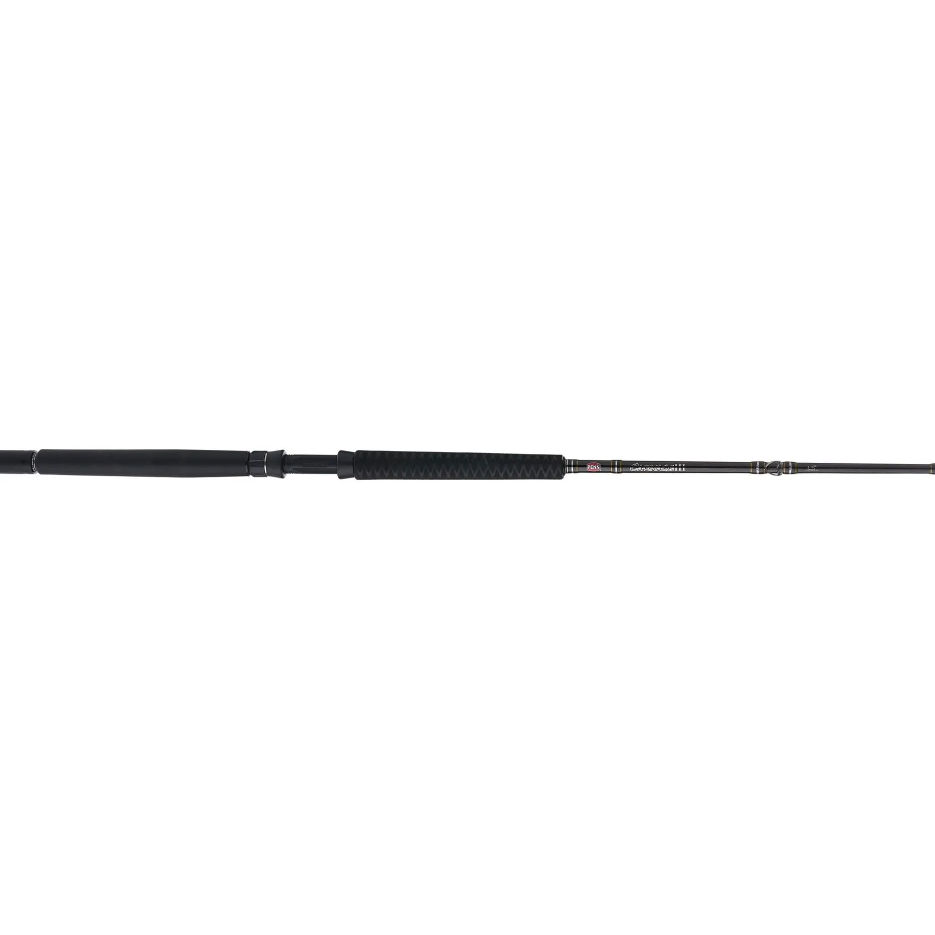 PENN Carnage™ III Offshore Conventional