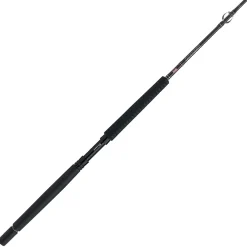 PENN Carnage™ III Offshore Conventional