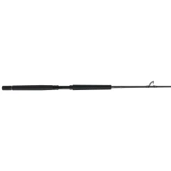 PENN Carnage™ III Offshore Conventional