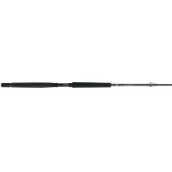 PENN Carnage™ III Offshore Conventional