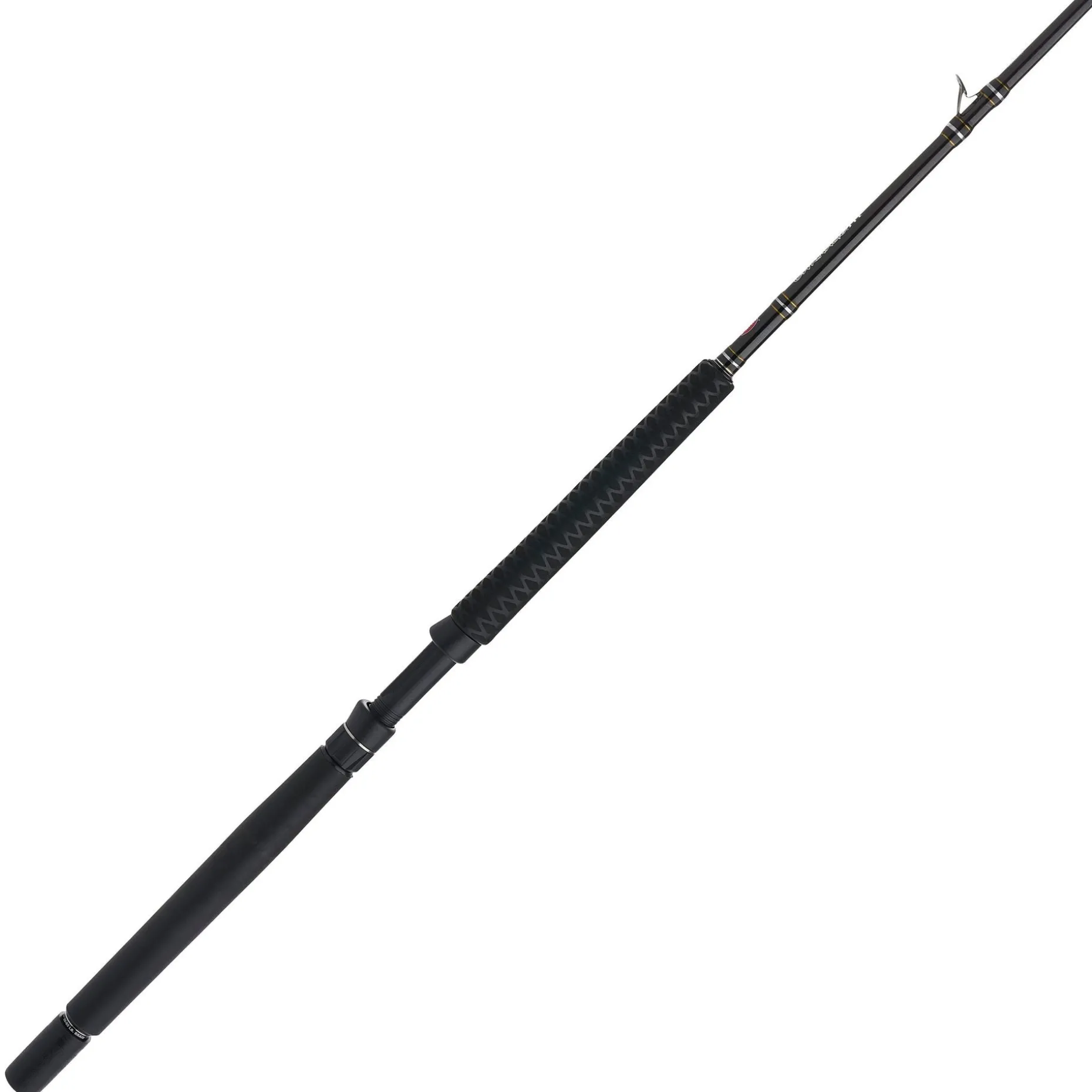 PENN Carnage™ III Offshore Conventional