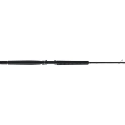 PENN Carnage™ III Offshore Conventional