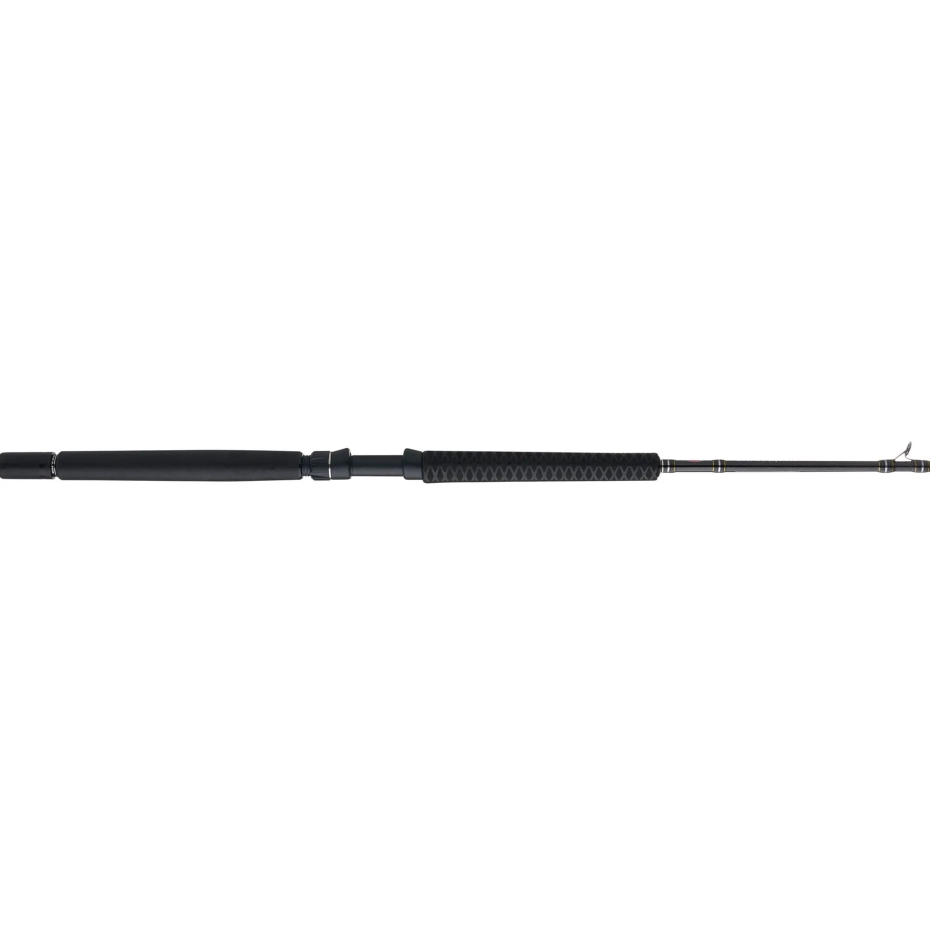 PENN Carnage™ III Offshore Conventional