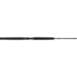 PENN Carnage™ III Offshore Conventional