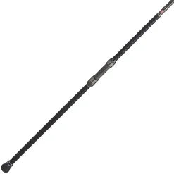 PENN Carnage™ III Surf Spinning
