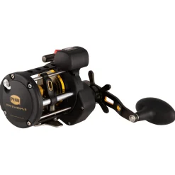 PENN Fathom™ II Level Wind
