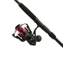 PENN Fierce® IV Spinning Rod & Reel Combo