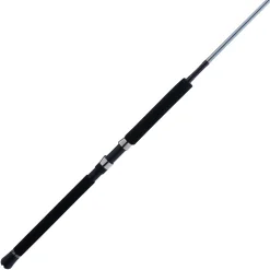 PENN Prevail® III Conventional Boat Rod