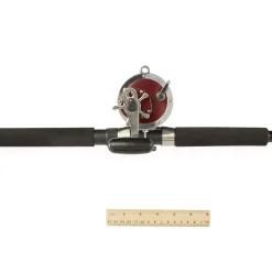 PENN Senator® Conventional Rod & Reel Combo