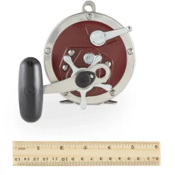 PENN Special Senator® Star Drag Conventional Reel