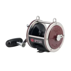 PENN Special Senator® Star Drag Conventional Reel