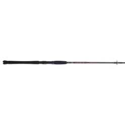 PENN Squadron® III Inshore Spinning Rod