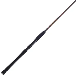 PENN Squadron® III Inshore Spinning Rod