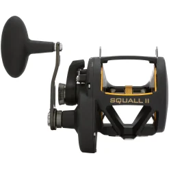 PENN Squall® II Lever Drag Conventional Reel