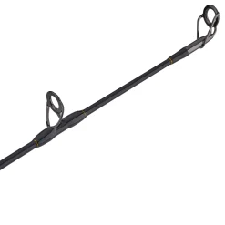 PENN Squall® II Lever Drag Conventional Rod & Reel Combo
