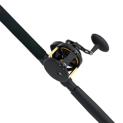 PENN Squall® II Lever Drag Conventional Rod & Reel Combo