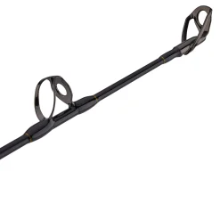 PENN Squall® II Lever Drag Conventional Rod & Reel Combo