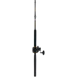 PENN Squall® II Lever Drag Conventional Rod & Reel Combo
