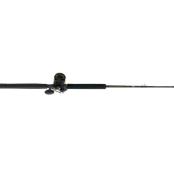 PENN Squall® II Lever Drag Conventional Rod & Reel Combo