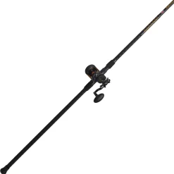 PENN Squall® II Star Drag Conventional Rod & Reel Combo