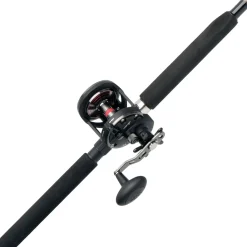 PENN Warfare™ Star Drag Conventional Rod & Reel Combo