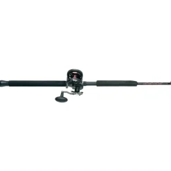 PENN Warfare™ Star Drag Conventional Rod & Reel Combo
