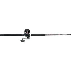PENN Warfare™ Star Drag Conventional Rod & Reel Combo