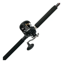 PENN Warfare™ Star Drag Level Wind Conventional Rod & Reel Combo