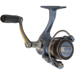 Pflueger President® Spinning Reel
