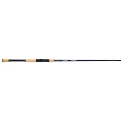 Pflueger President® XT Casting Rod