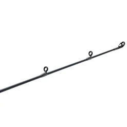 Pflueger President® XT Casting Rod