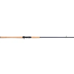 Pflueger President® XT Casting Rod