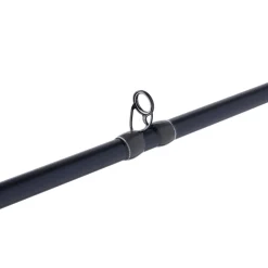 Pflueger President® XT Casting Rod