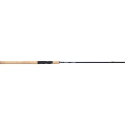 Pflueger President® XT Casting Rod