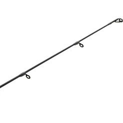 Pflueger President® XT Spinning Rod
