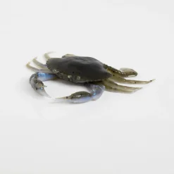 Savage Gear 3D Crab PVC