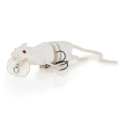 Savage Gear 3D Rat