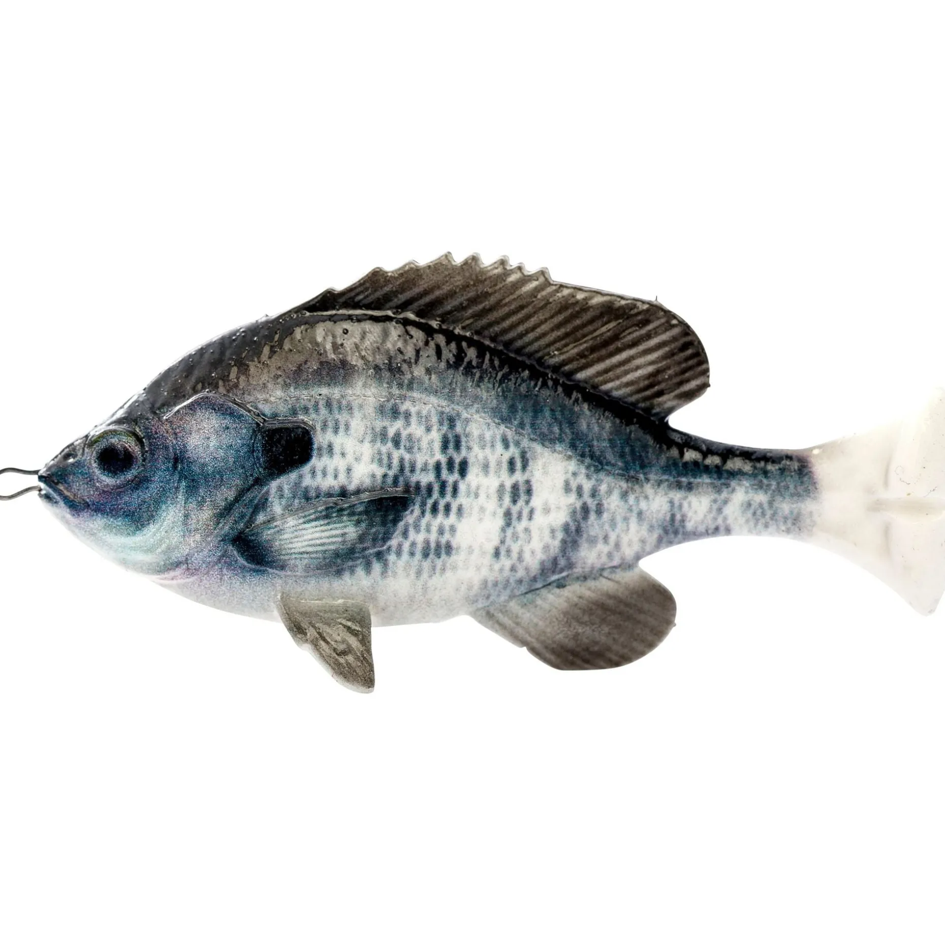 Savage Gear Pulse Tail Bluegill LB