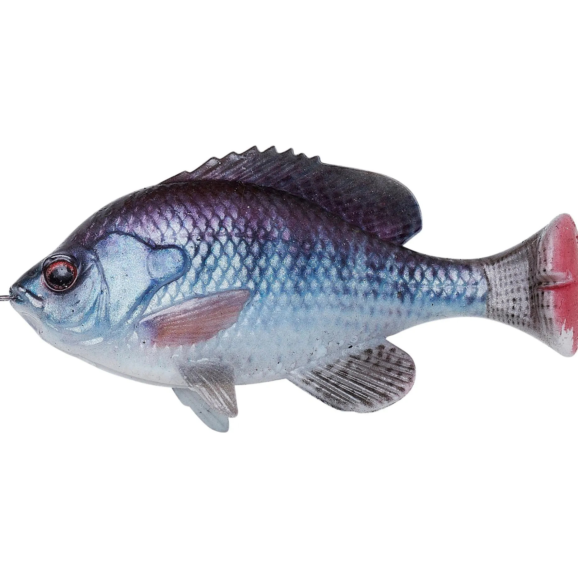 Savage Gear Pulse Tail Bluegill LB