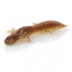 Savage Gear Toughtec NED Salamander